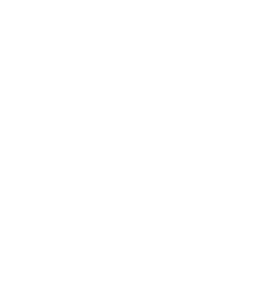 MizarGuard